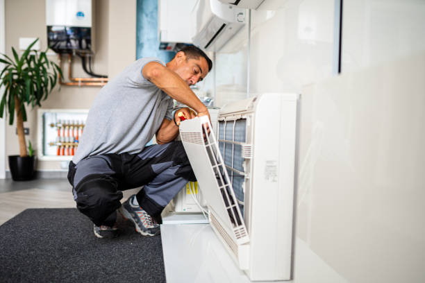 Best Air Duct Sanitizing Services  in Quitman, MS