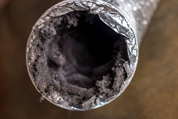 Best HVAC Air Duct Cleaning  in Quitman, MS